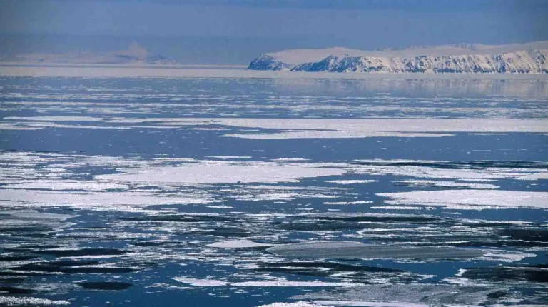 Commander Islands: U.S. Proposal Aims to Boost Strategic Surveillance in the Aleutians 4 Commander Islands